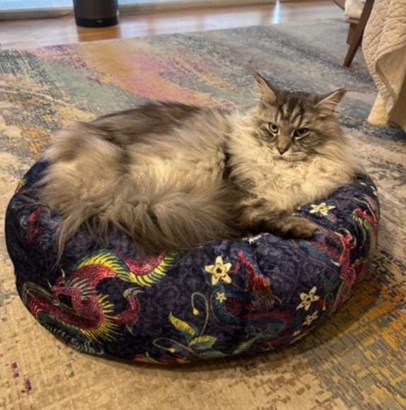 Johnny Was Tiger Dog Bed, S Extra Plush, Unique Tiger & Zebra Design, NWT - Picture 11 of 15